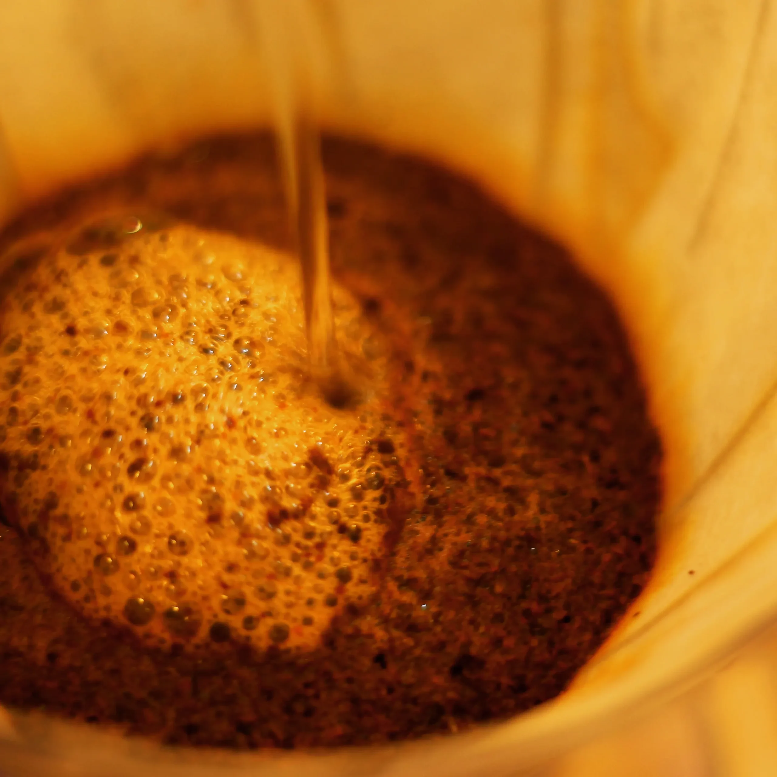 قهوه دمی فیلتر کاغذی